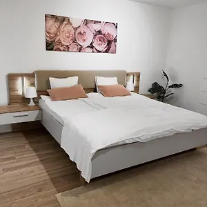 Apartment Eine Schöne Im Herzen Von Basel., Basel